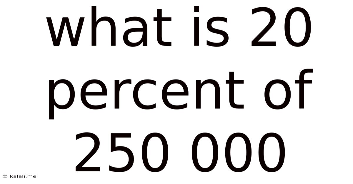 What Is 20 Percent Of 250 000