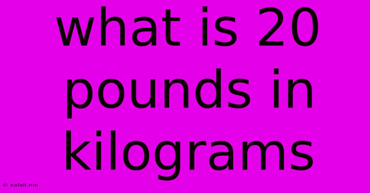What Is 20 Pounds In Kilograms