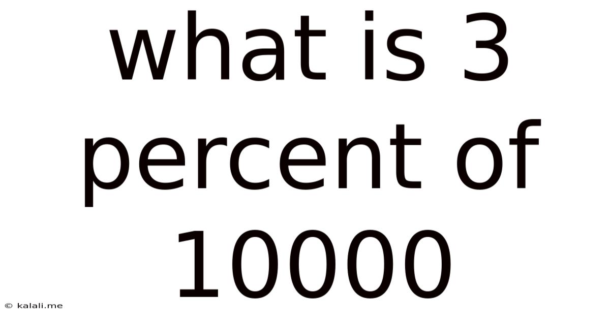 What Is 3 Percent Of 10000