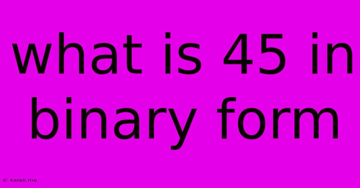 What Is 45 In Binary Form