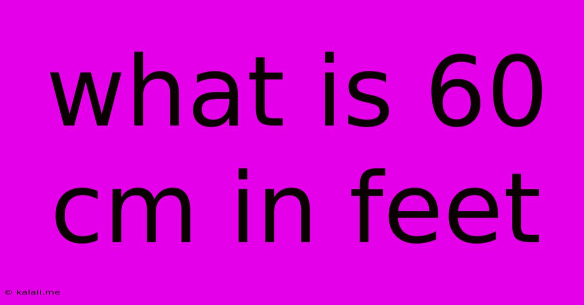 What Is 60 Cm In Feet