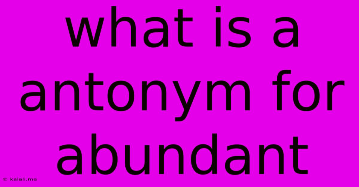 What Is A Antonym For Abundant