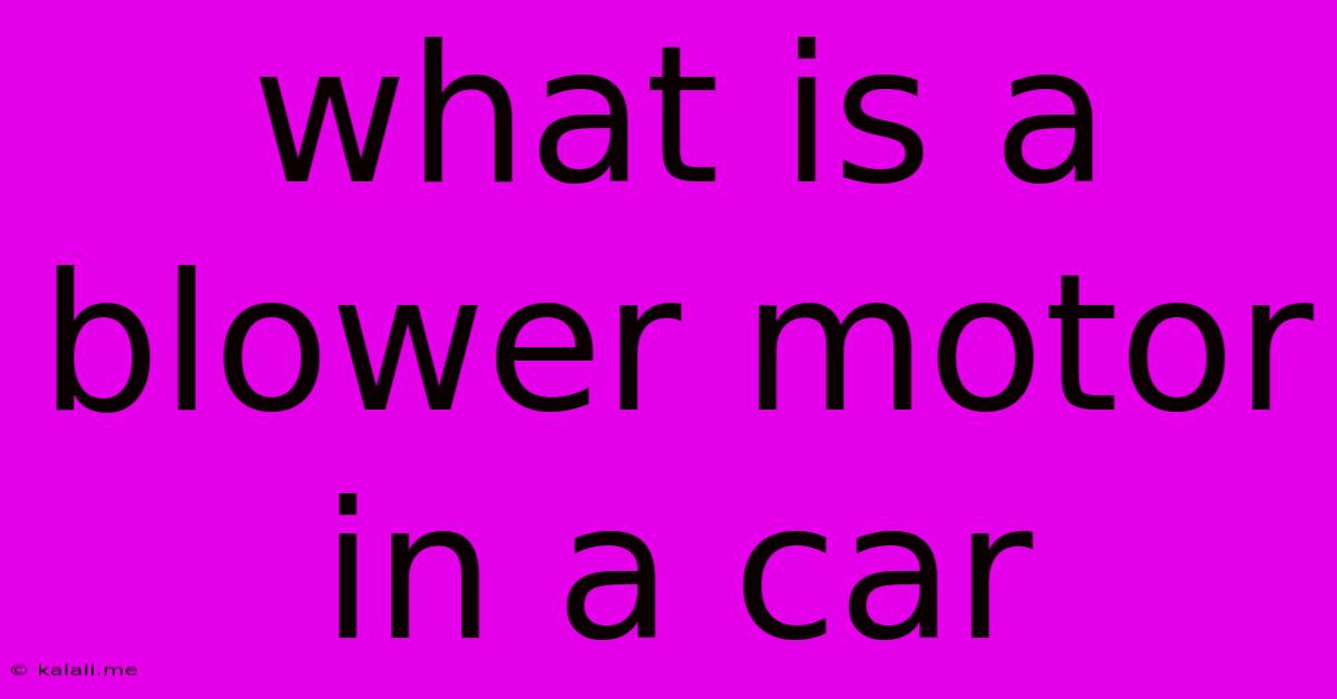 What Is A Blower Motor In A Car