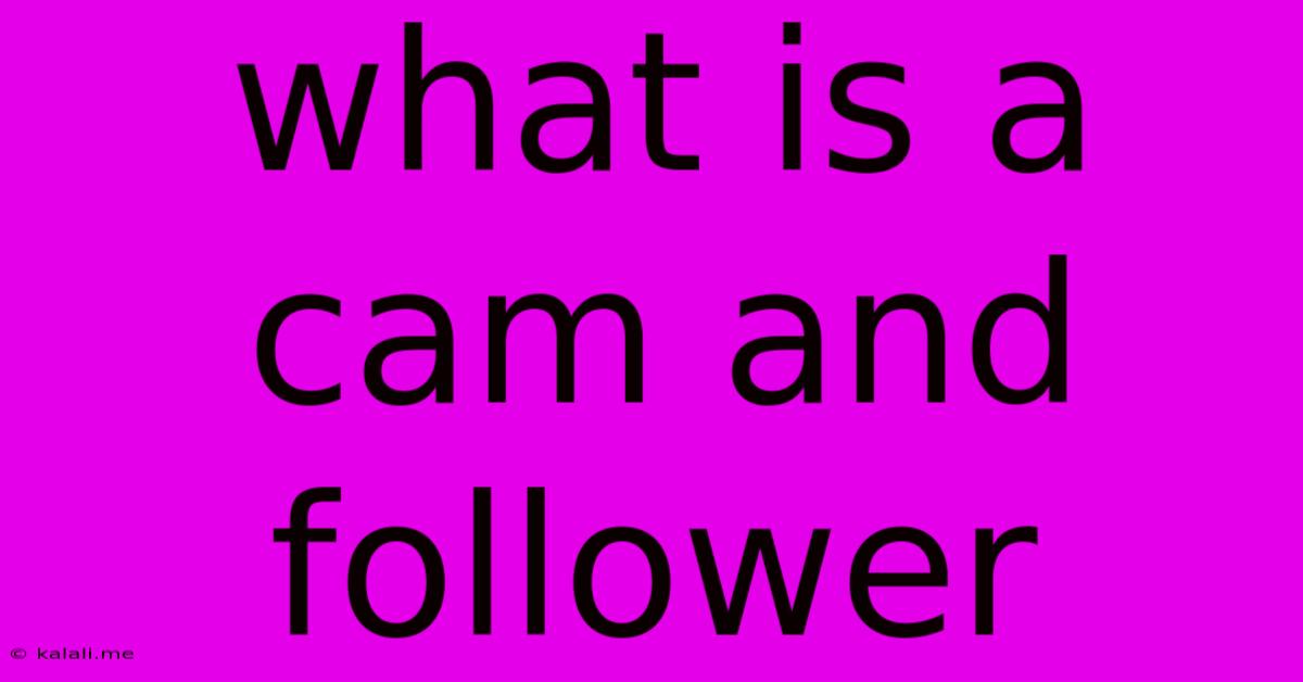 What Is A Cam And Follower
