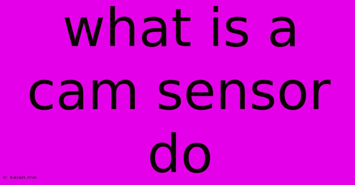 What Is A Cam Sensor Do