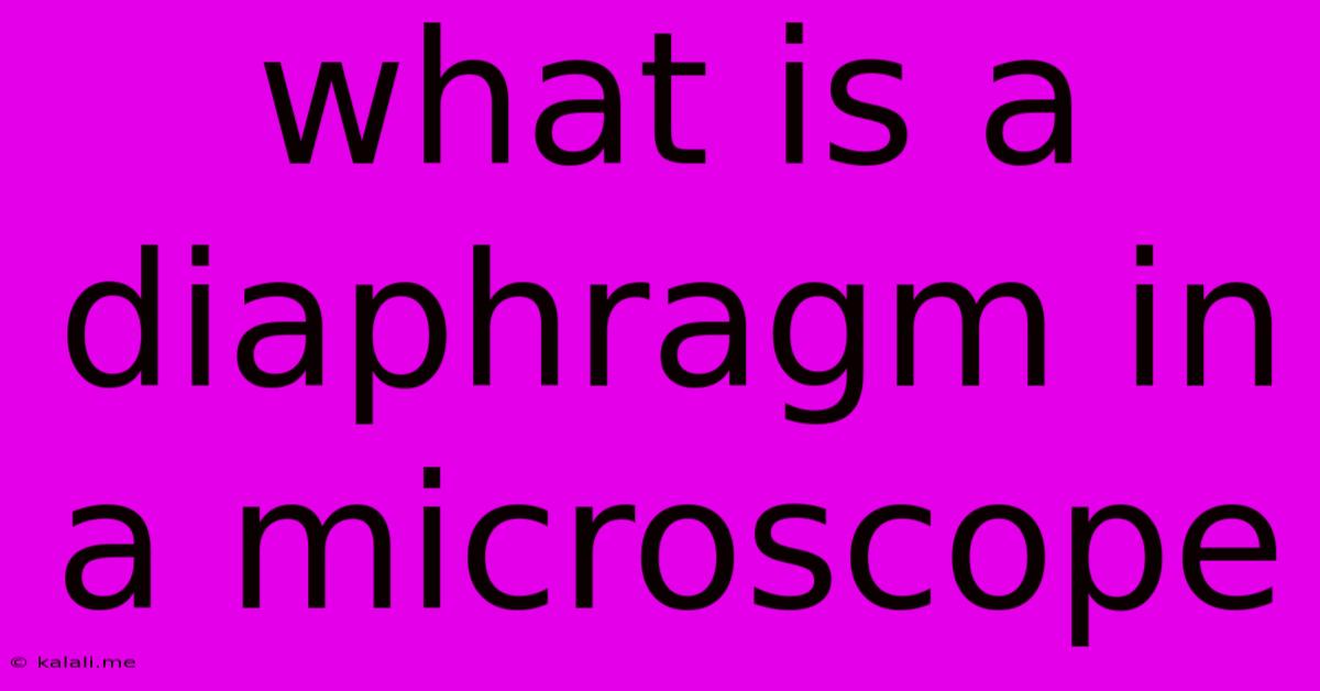 What Is A Diaphragm In A Microscope