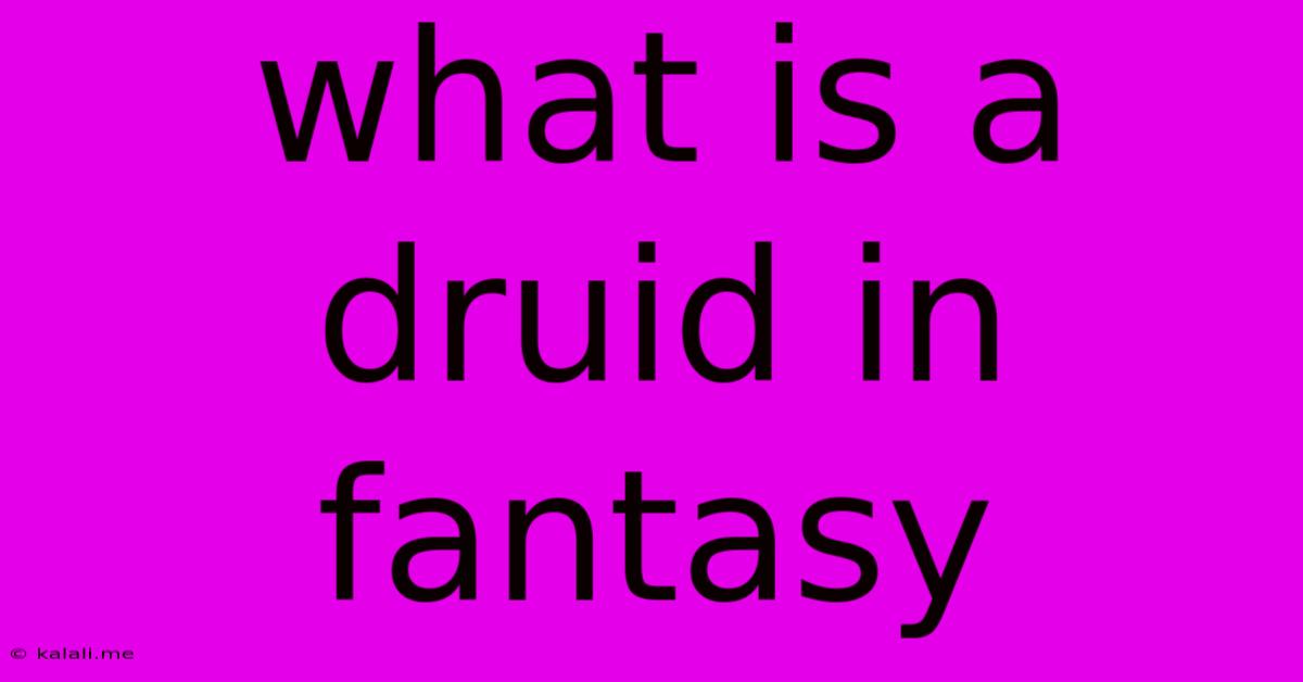 What Is A Druid In Fantasy