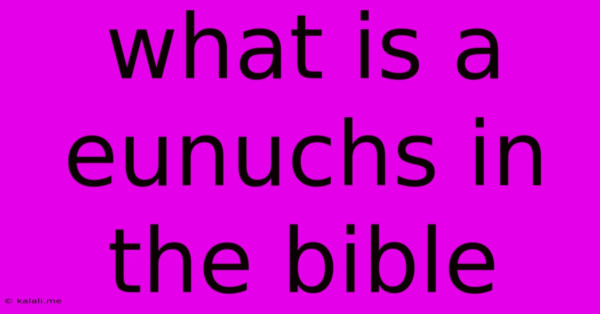 What Is A Eunuchs In The Bible