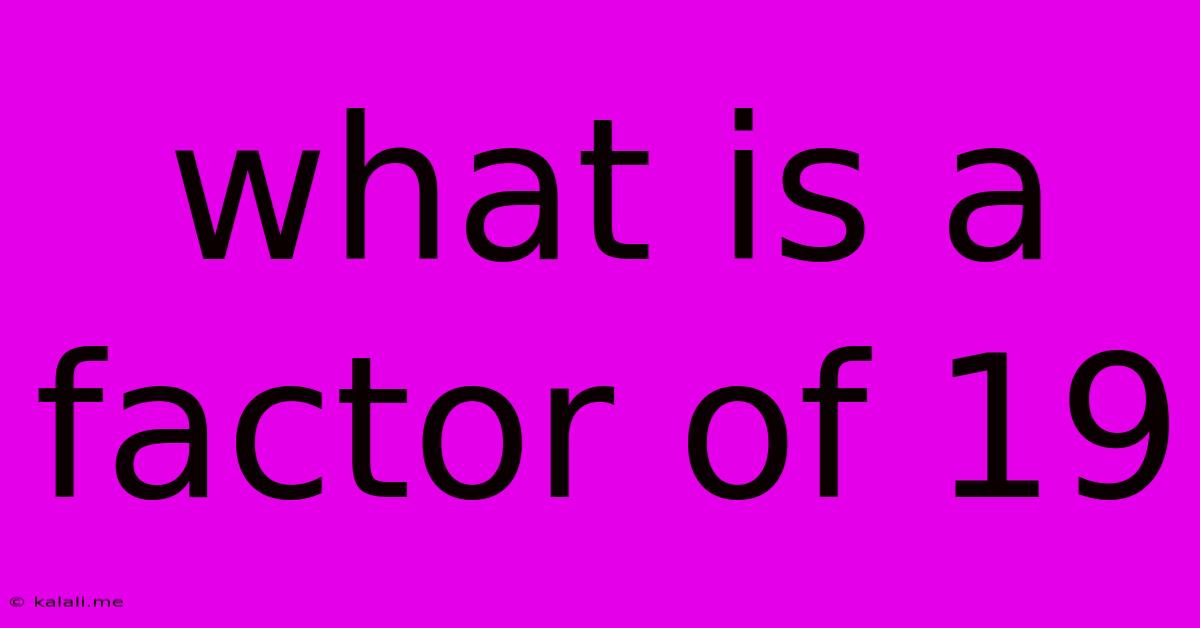 What Is A Factor Of 19