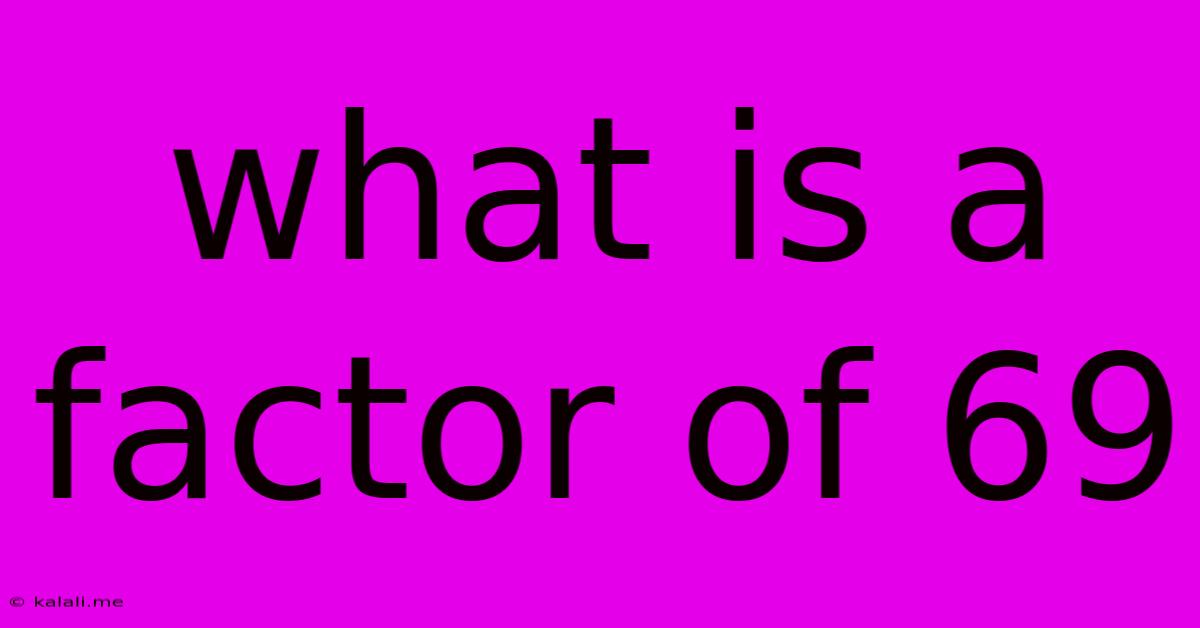 What Is A Factor Of 69