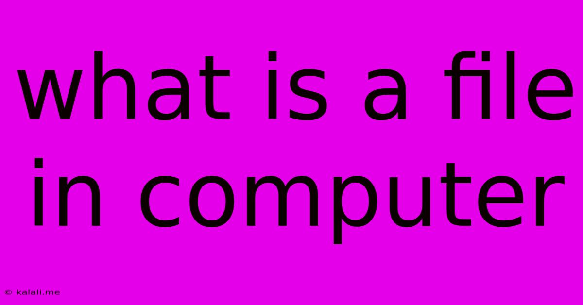 What Is A File In Computer