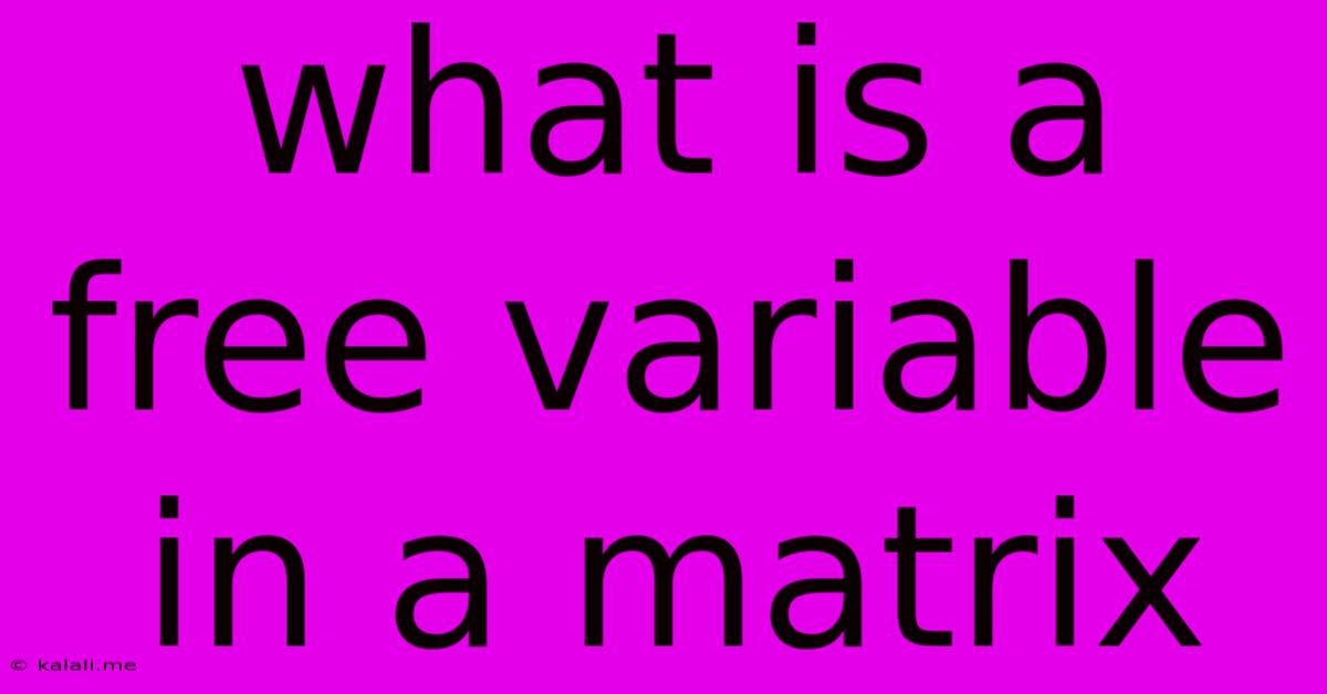 What Is A Free Variable In A Matrix