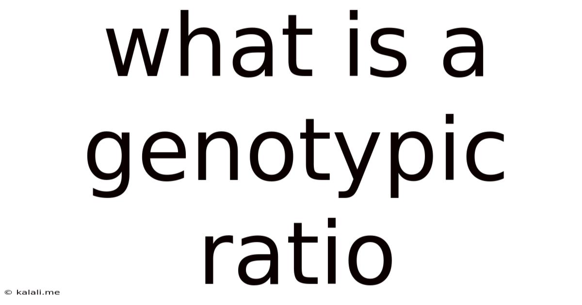 What Is A Genotypic Ratio