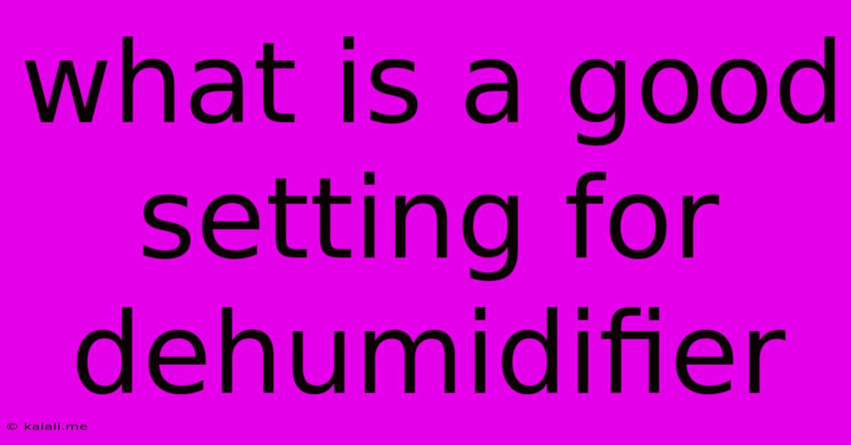 What Is A Good Setting For Dehumidifier