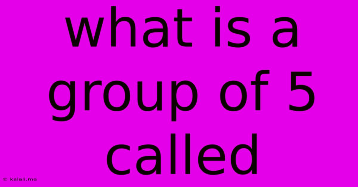 What Is A Group Of 5 Called