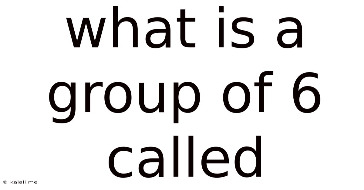 What Is A Group Of 6 Called