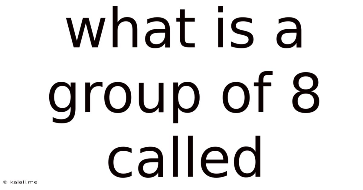 What Is A Group Of 8 Called