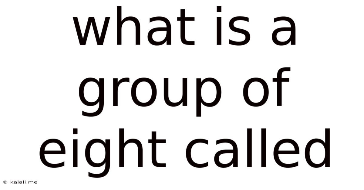What Is A Group Of Eight Called