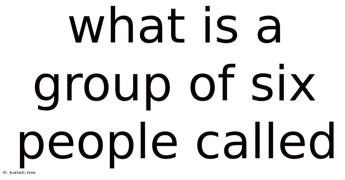 What Is A Group Of Six People Called