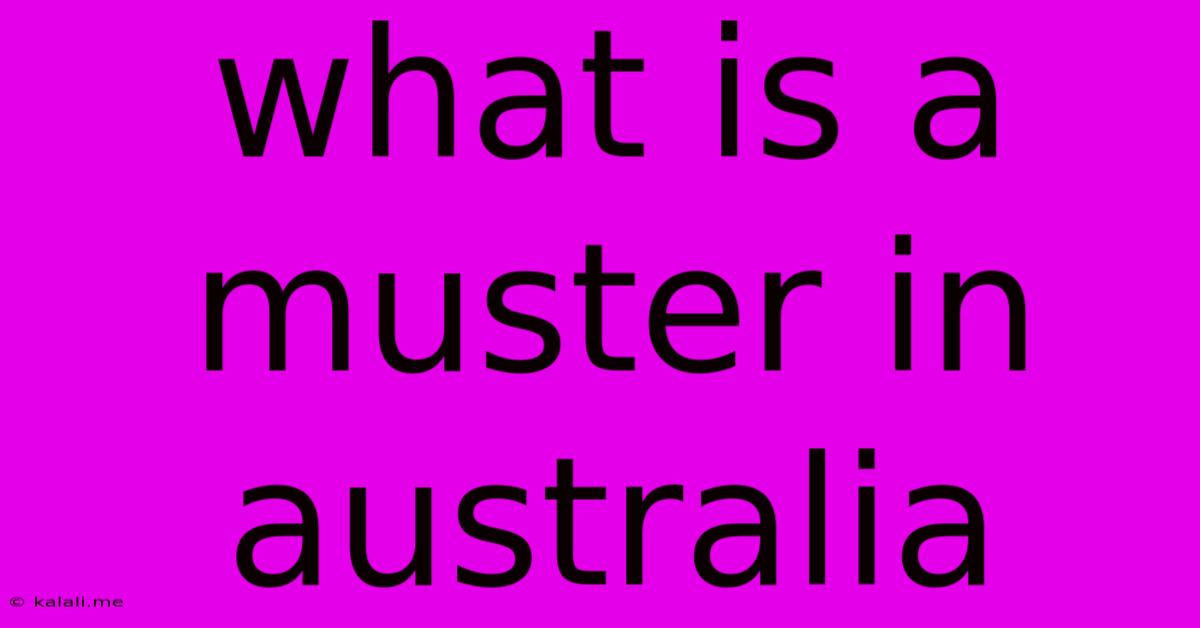 What Is A Muster In Australia