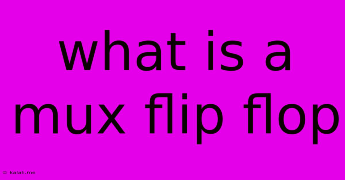 What Is A Mux Flip Flop