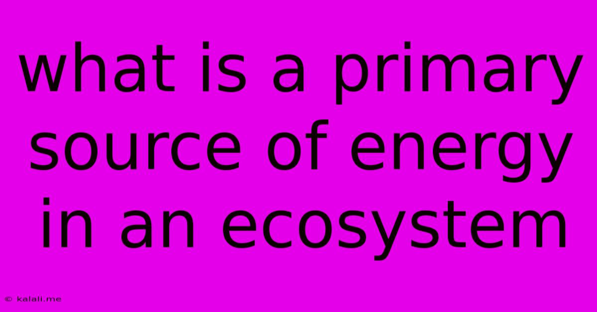 What Is A Primary Source Of Energy In An Ecosystem
