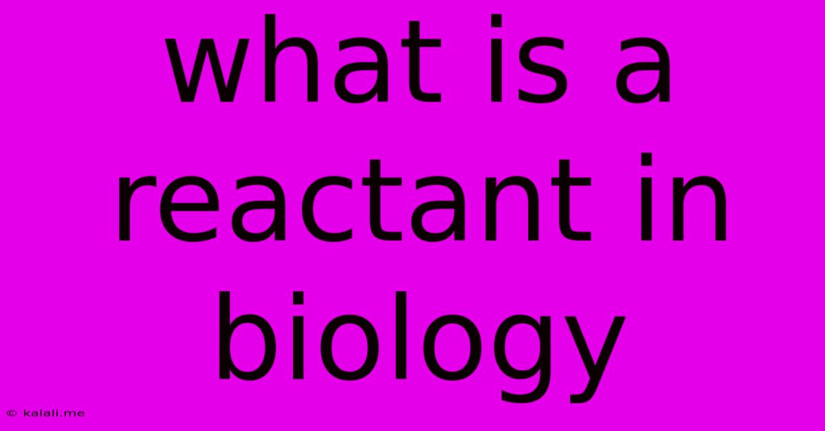 What Is A Reactant In Biology