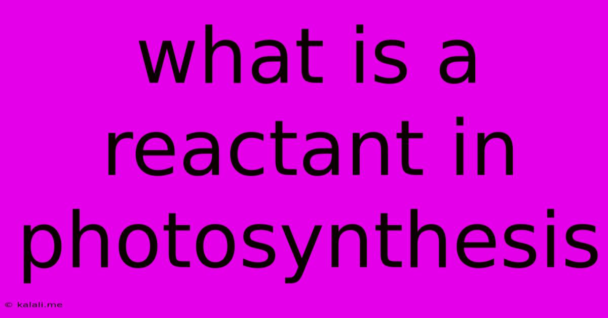 What Is A Reactant In Photosynthesis
