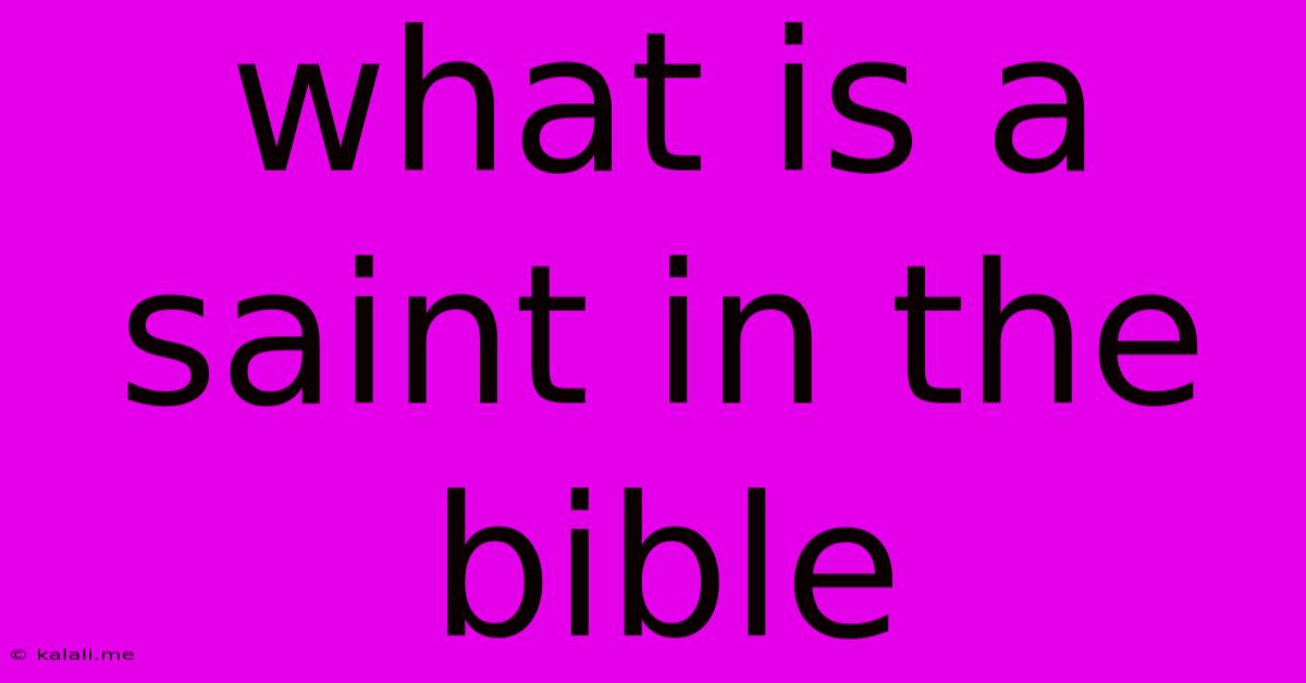 What Is A Saint In The Bible