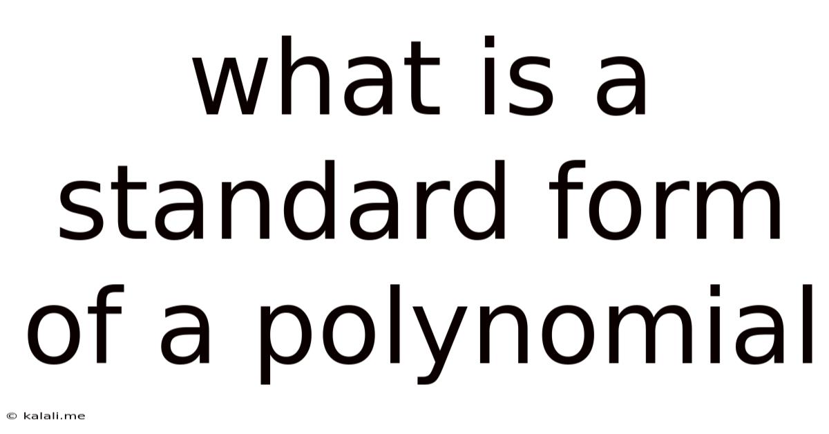 What Is A Standard Form Of A Polynomial