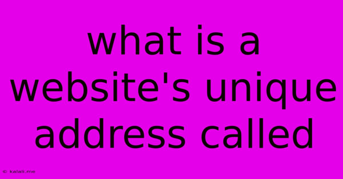 What Is A Website's Unique Address Called