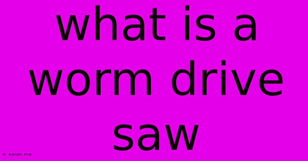 What Is A Worm Drive Saw