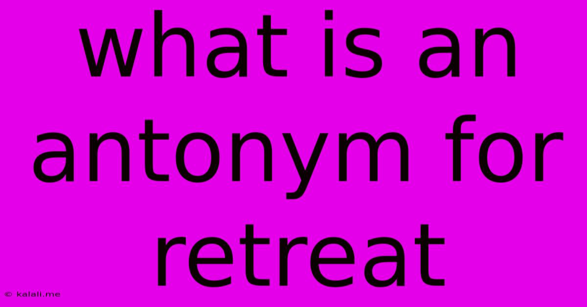 What Is An Antonym For Retreat
