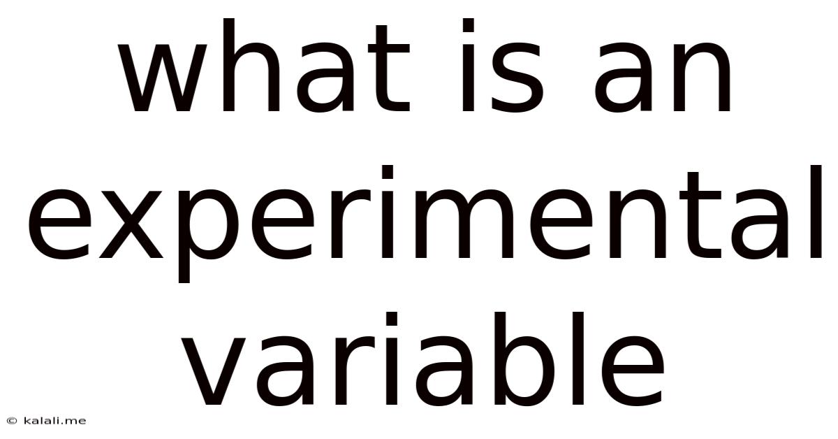 What Is An Experimental Variable
