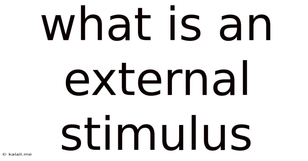 What Is An External Stimulus