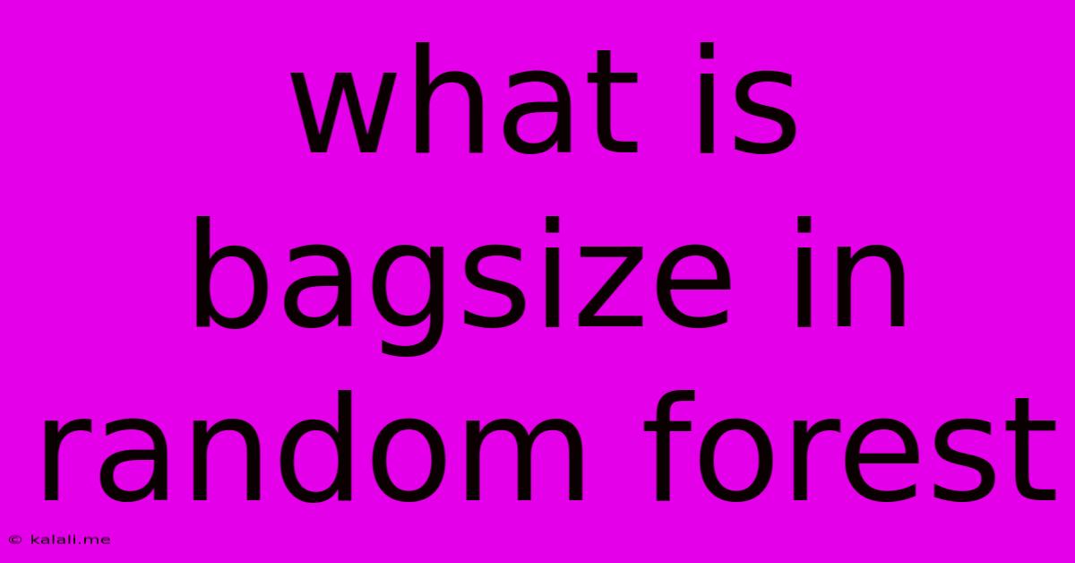 What Is Bagsize In Random Forest