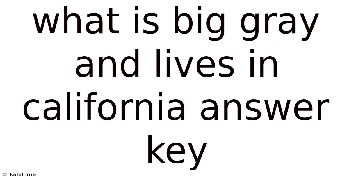 What Is Big Gray And Lives In California Answer Key