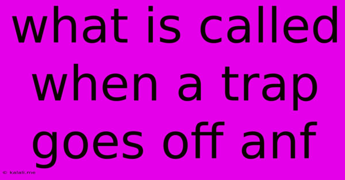 What Is Called When A Trap Goes Off Anf