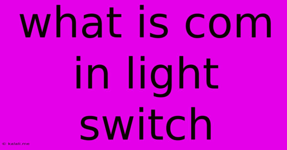 What Is Com In Light Switch