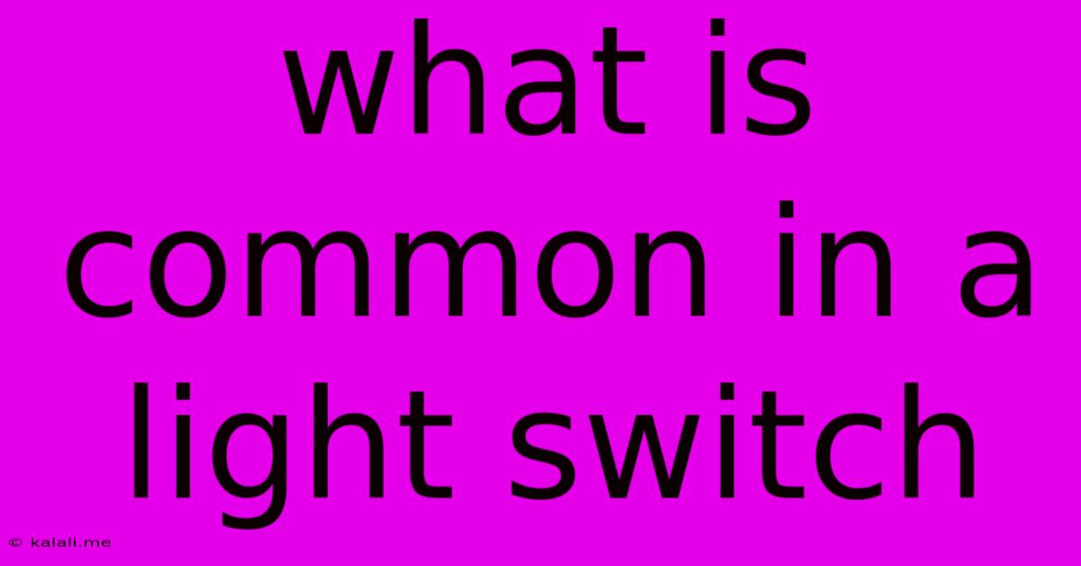 What Is Common In A Light Switch