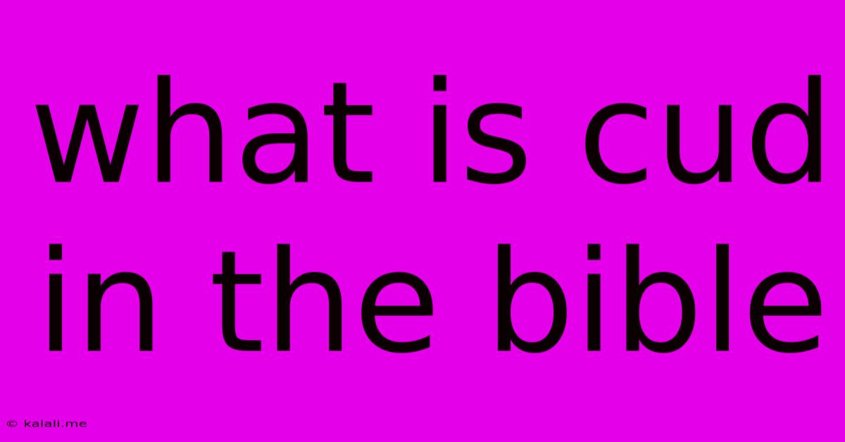 What Is Cud In The Bible