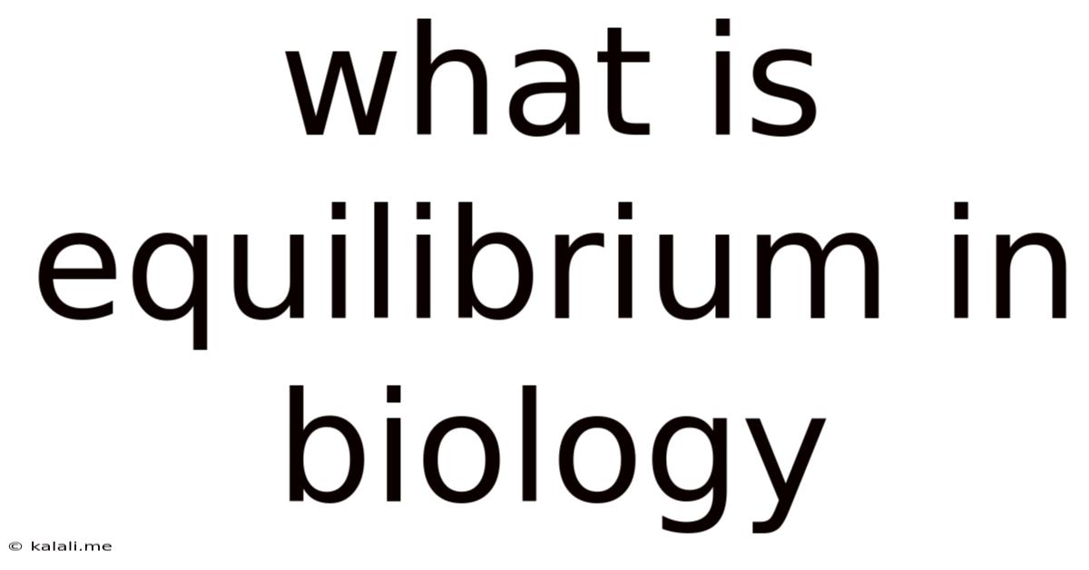 What Is Equilibrium In Biology