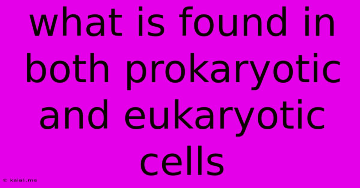 What Is Found In Both Prokaryotic And Eukaryotic Cells