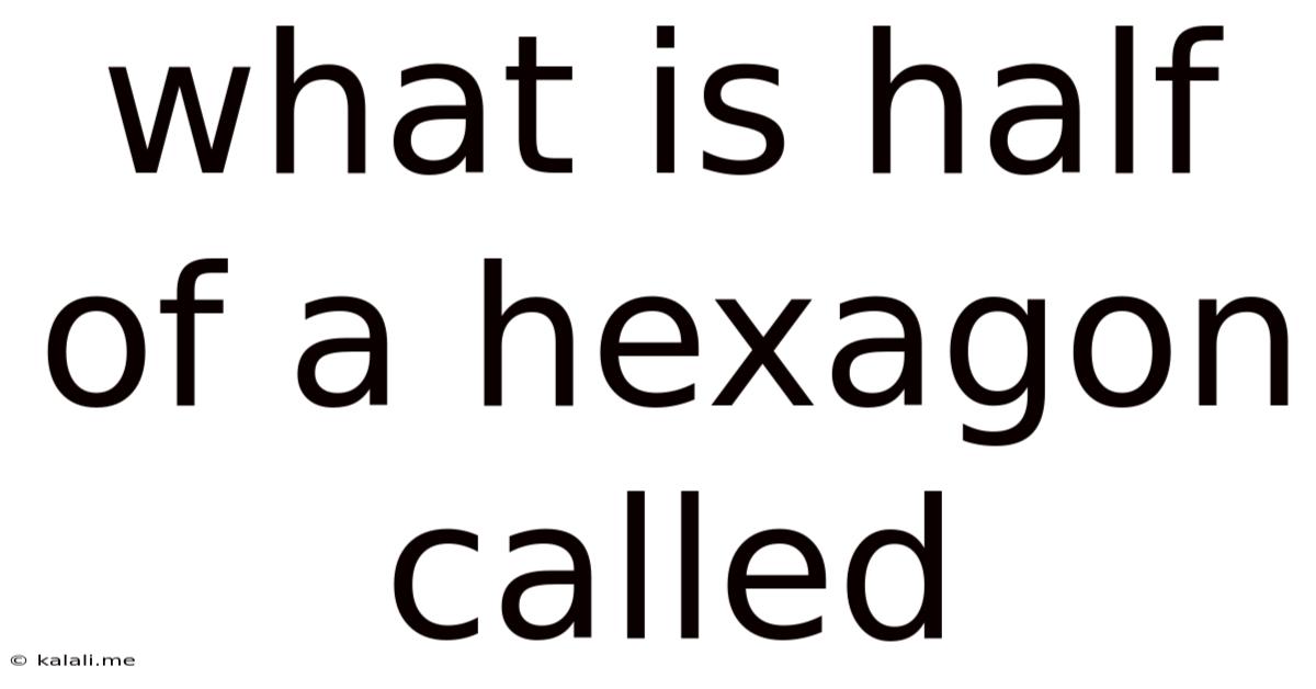 What Is Half Of A Hexagon Called