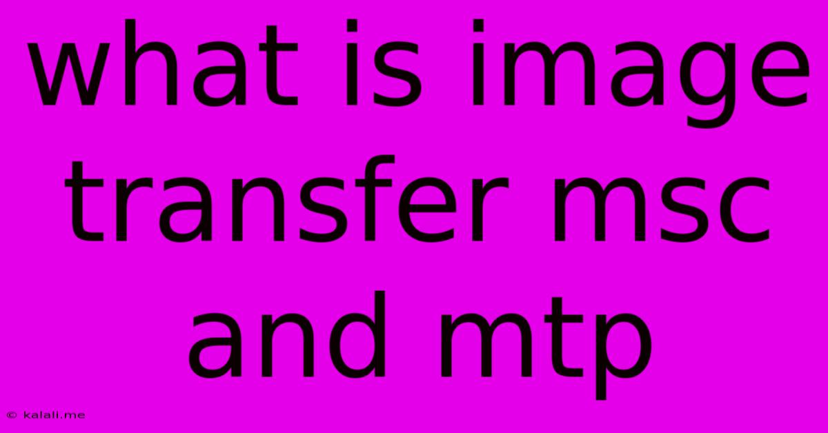 What Is Image Transfer Msc And Mtp