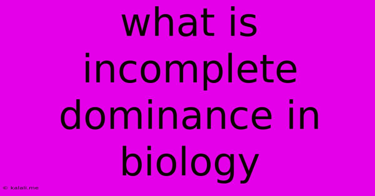 What Is Incomplete Dominance In Biology