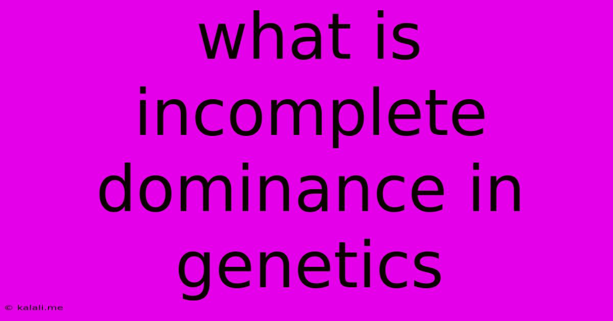 What Is Incomplete Dominance In Genetics