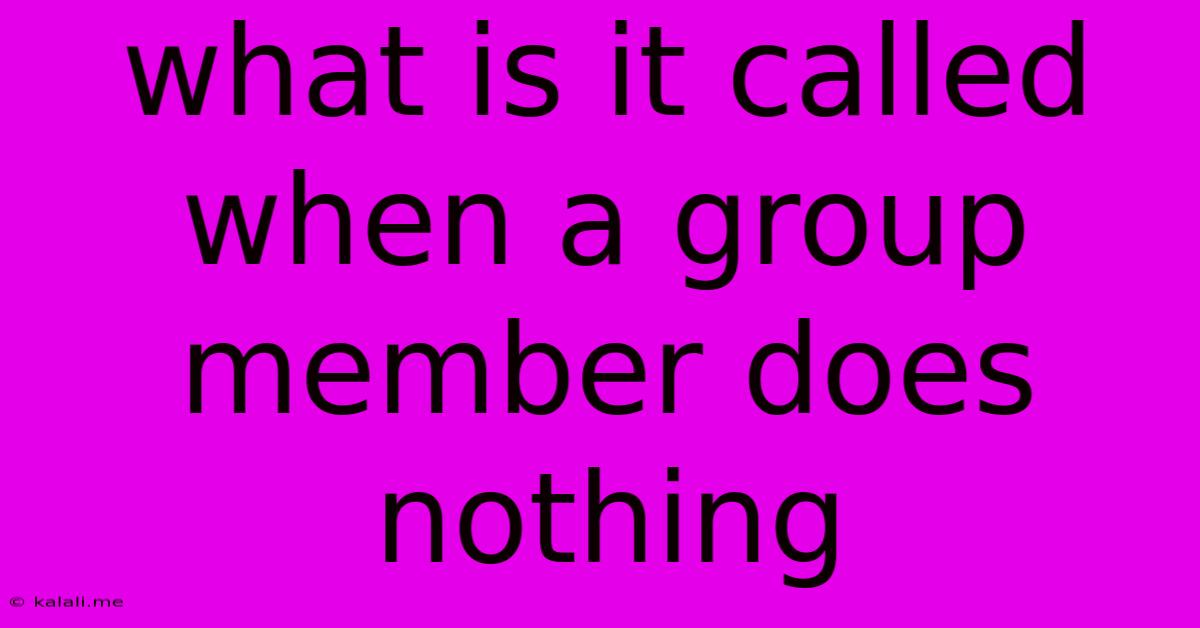 What Is It Called When A Group Member Does Nothing