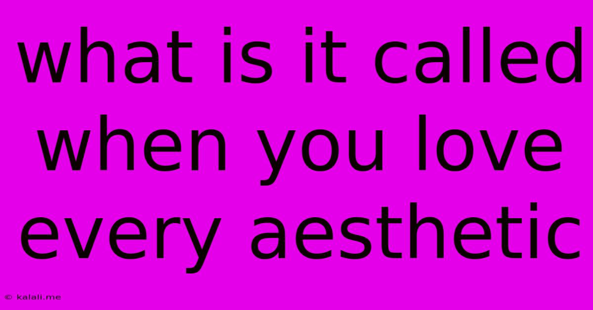 What Is It Called When You Love Every Aesthetic
