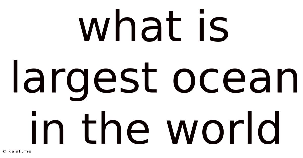 What Is Largest Ocean In The World